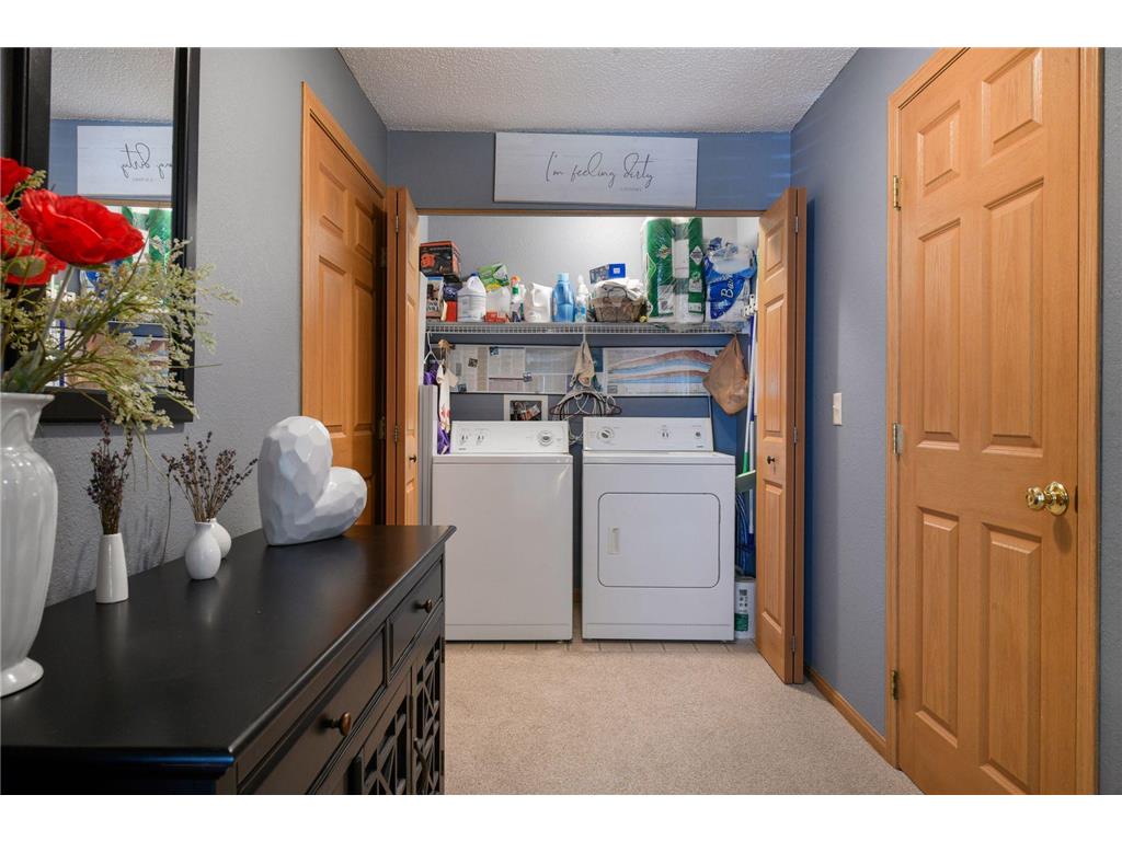1321 Lake Drive W #123 Chanhassen MN 55317 7086500 image19