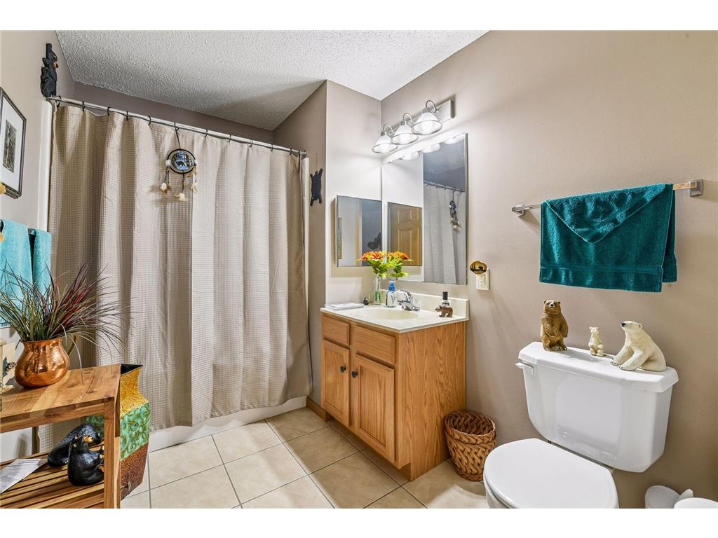 1321 Lake Drive W #123 Chanhassen MN 55317 7086500 image21