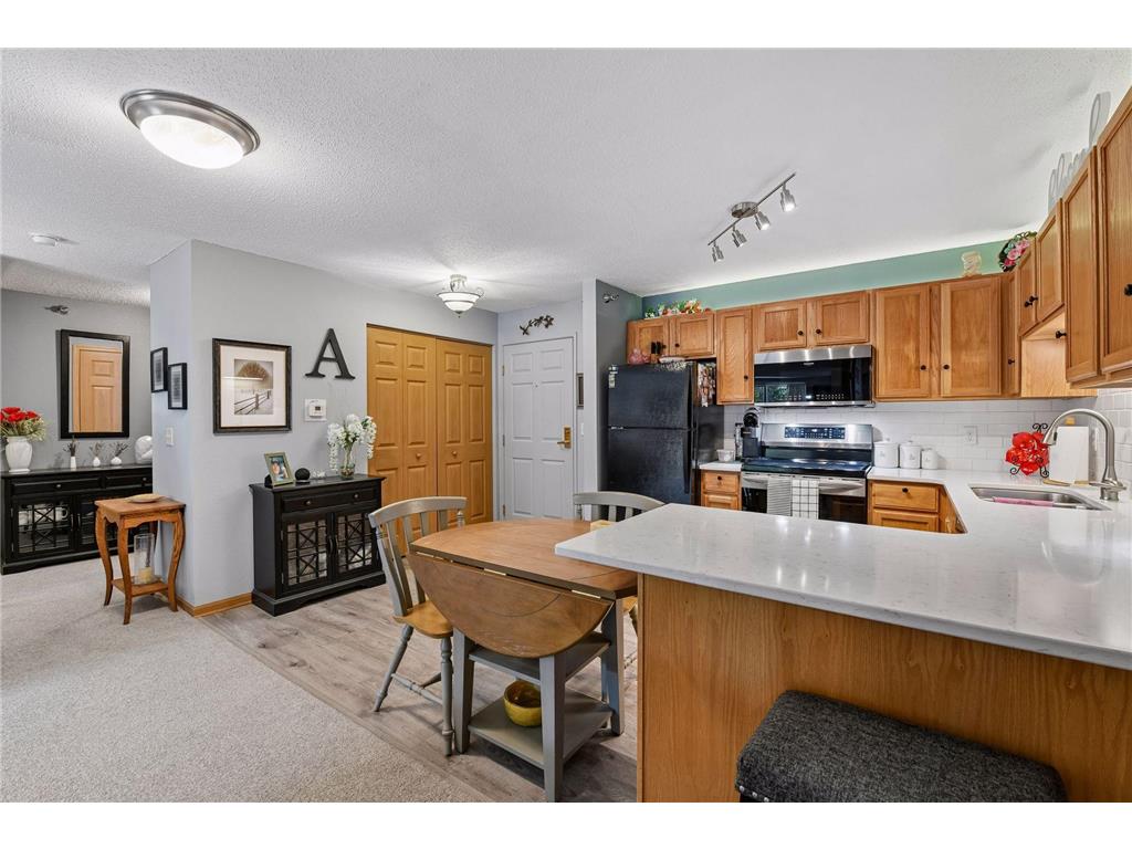 1321 Lake Drive W #123 Chanhassen MN 55317 7086500 image7