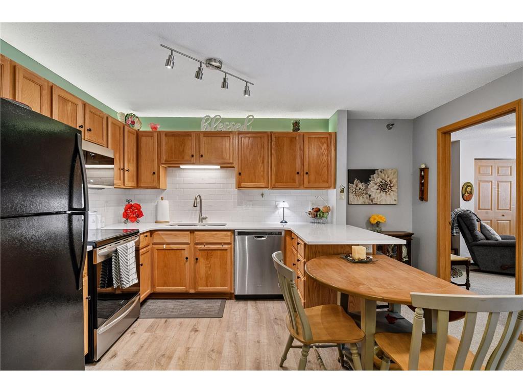 1321 Lake Drive W #123 Chanhassen MN 55317 7086500 image9