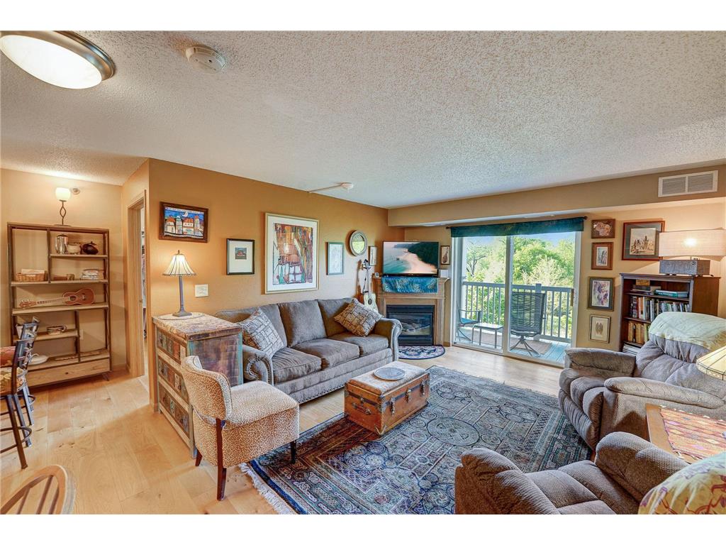 1321 Lake Drive W #124 Chanhassen MN 55317 6569516 image1