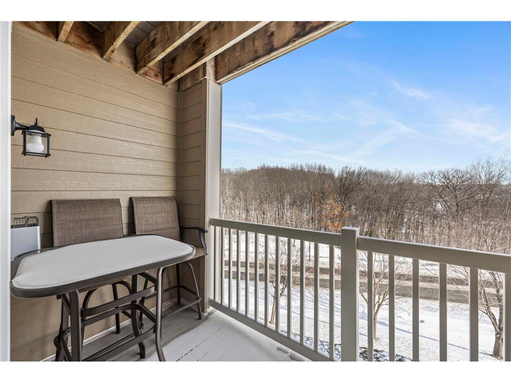 1321 Lake Drive W #216 Chanhassen MN 55317 7011240 image15