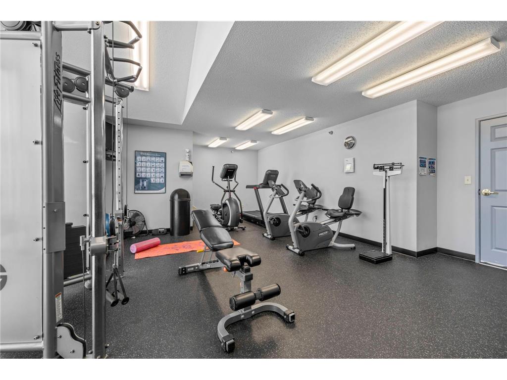 1321 Lake Drive W #216 Chanhassen MN 55317 7011240 image55