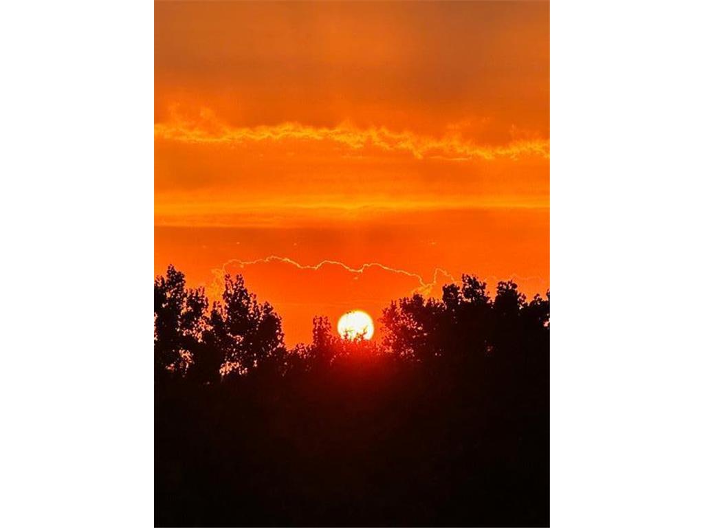 1321 Lake Drive W #216 Chanhassen MN 55317 7011240 image66