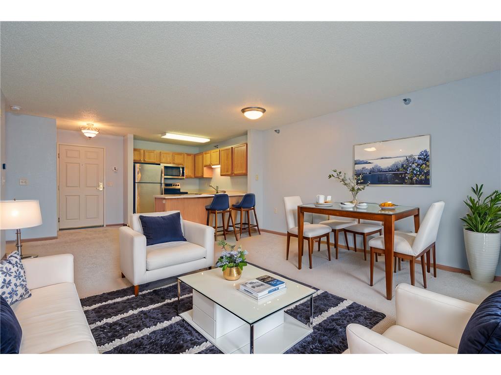 1321 Lake Drive W #227 Chanhassen MN 55317 6636314 image1