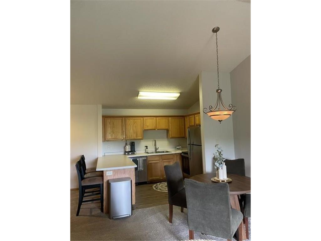 1321 Lake Drive W #320 Chanhassen MN 55317 7102518 image2