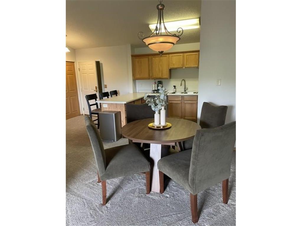 1321 Lake Drive W #320 Chanhassen MN 55317 7102518 image3