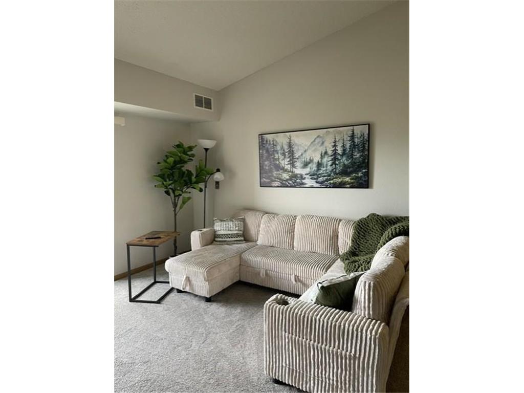 1321 Lake Drive W #320 Chanhassen MN 55317 7102518 image4