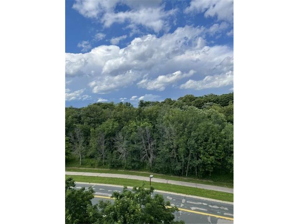 1321 Lake Drive W #320 Chanhassen MN 55317 7102518 image9
