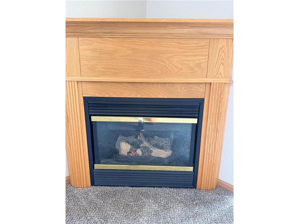 1321 Lake Drive W #329 Chanhassen MN 55317 7088171 image12