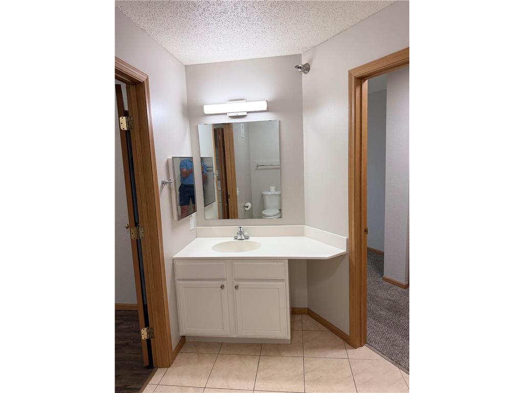 1321 Lake Drive W #329 Chanhassen MN 55317 7088171 image19