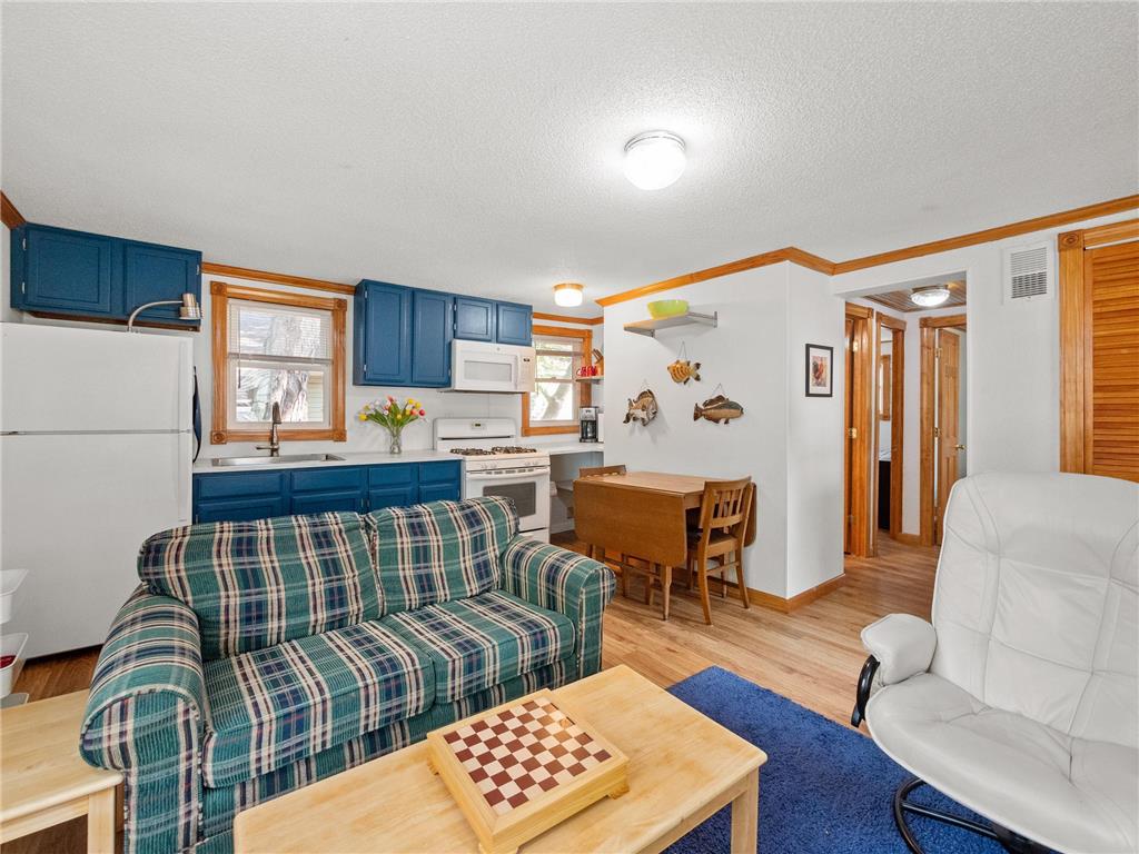 1321 S Darling Drive NW Alexandria MN 56308 - Darling Lake 7073661 image5