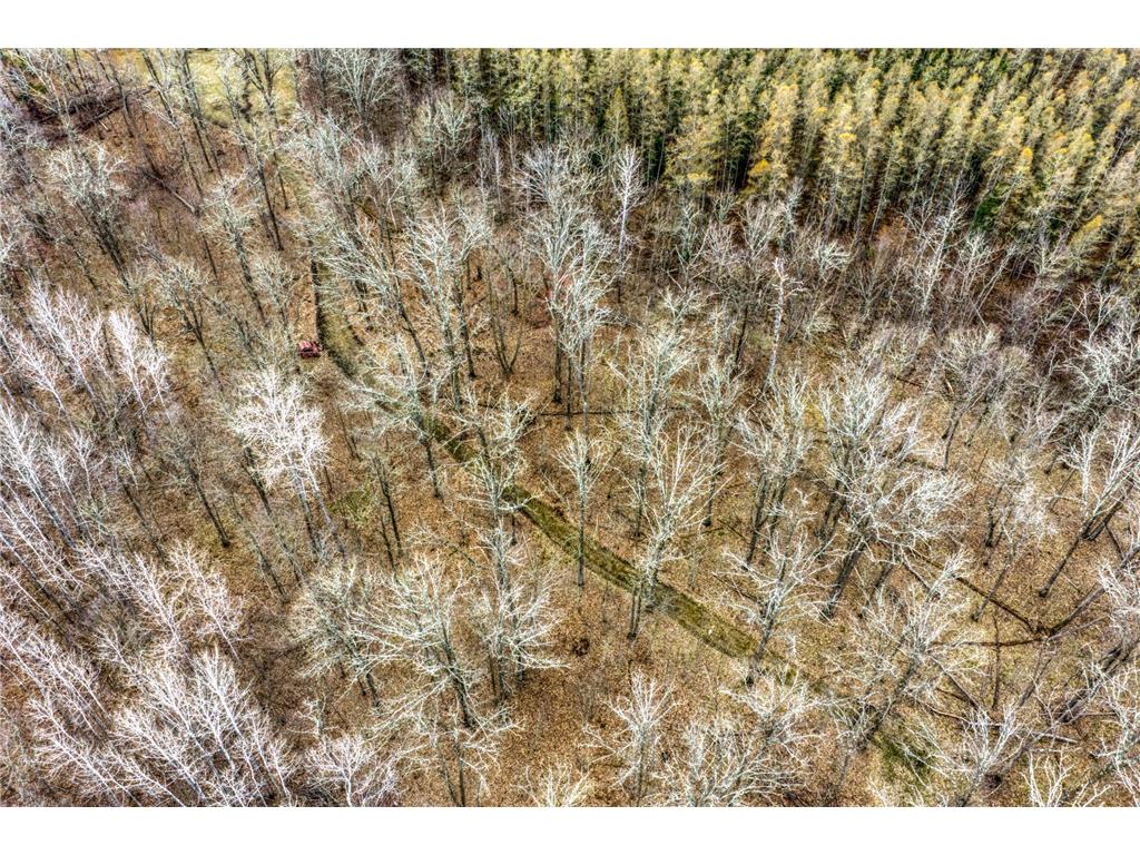 13217 Beaver Road NE Turtle River Twp MN 56601 7065313 image10