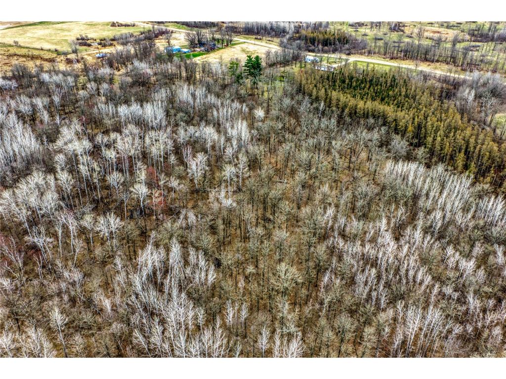 13217 Beaver Road NE Turtle River Twp MN 56601 7065313 image11