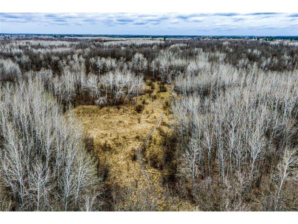 13217 Beaver Road NE Turtle River Twp MN 56601 7065313 image2