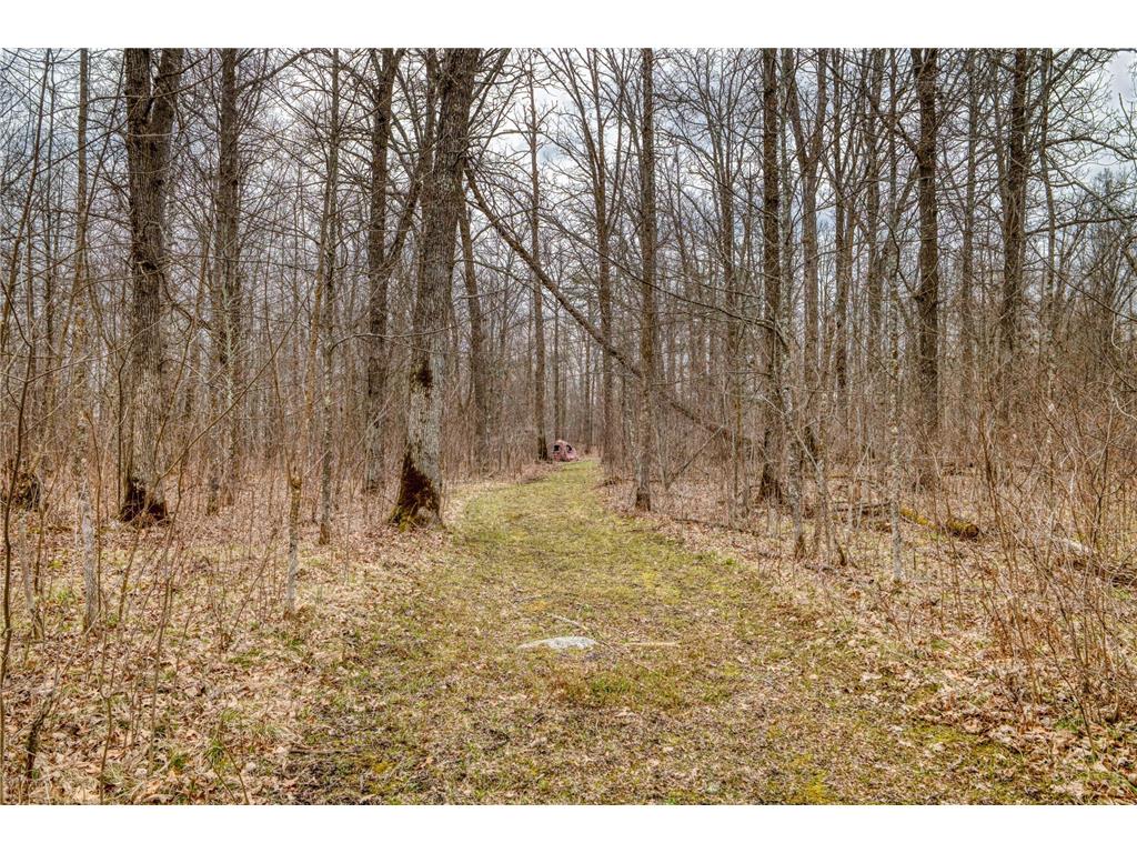13217 Beaver Road NE Turtle River Twp MN 56601 7065313 image4