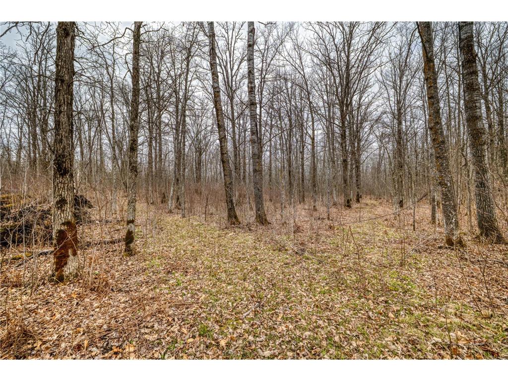 13217 Beaver Road NE Turtle River Twp MN 56601 7065313 image6