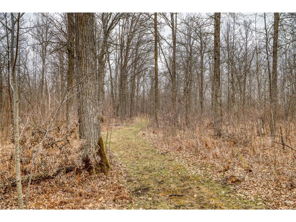 13217 Beaver Road NE Turtle River Twp MN 56601 7065313 image7