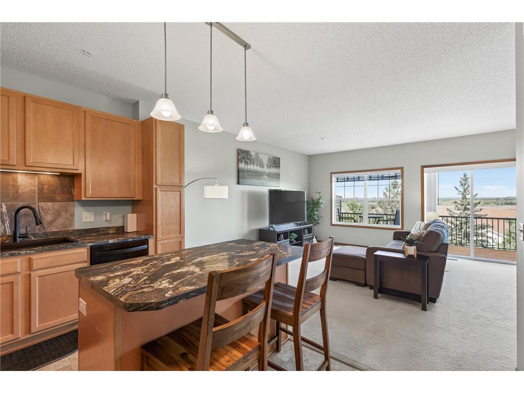 13217 Virginia Avenue S Savage MN 55378 7075485 image1