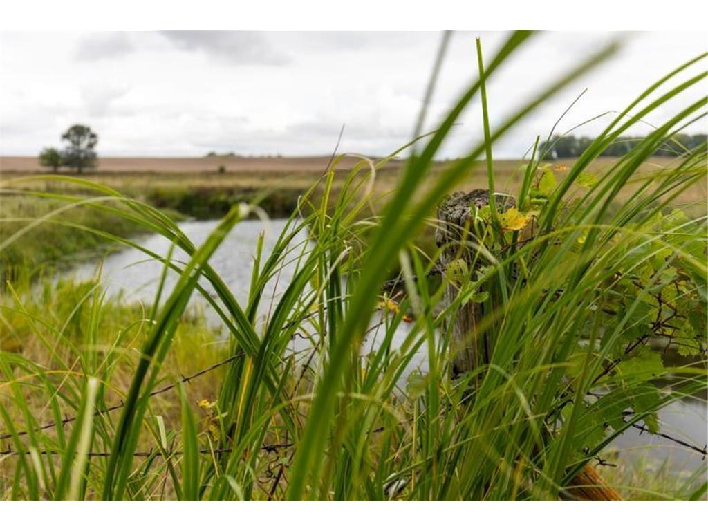 1323 230th Avenue Fairmont MN 56031 6704781 image60