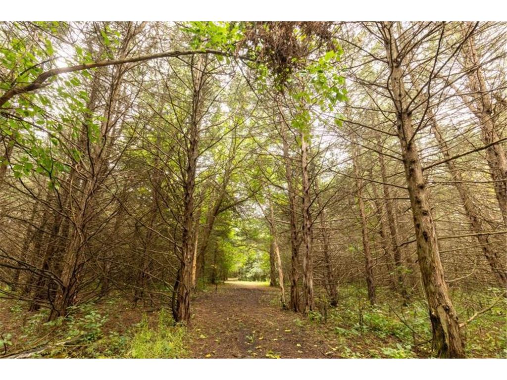 1323 230th Avenue Fairmont MN 56031 6704781 image70