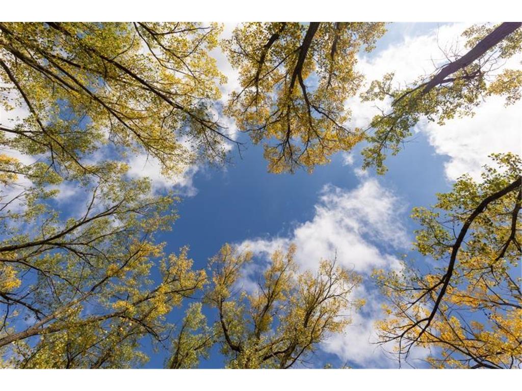 1323 230th Avenue Fairmont MN 56031 6704781 image71