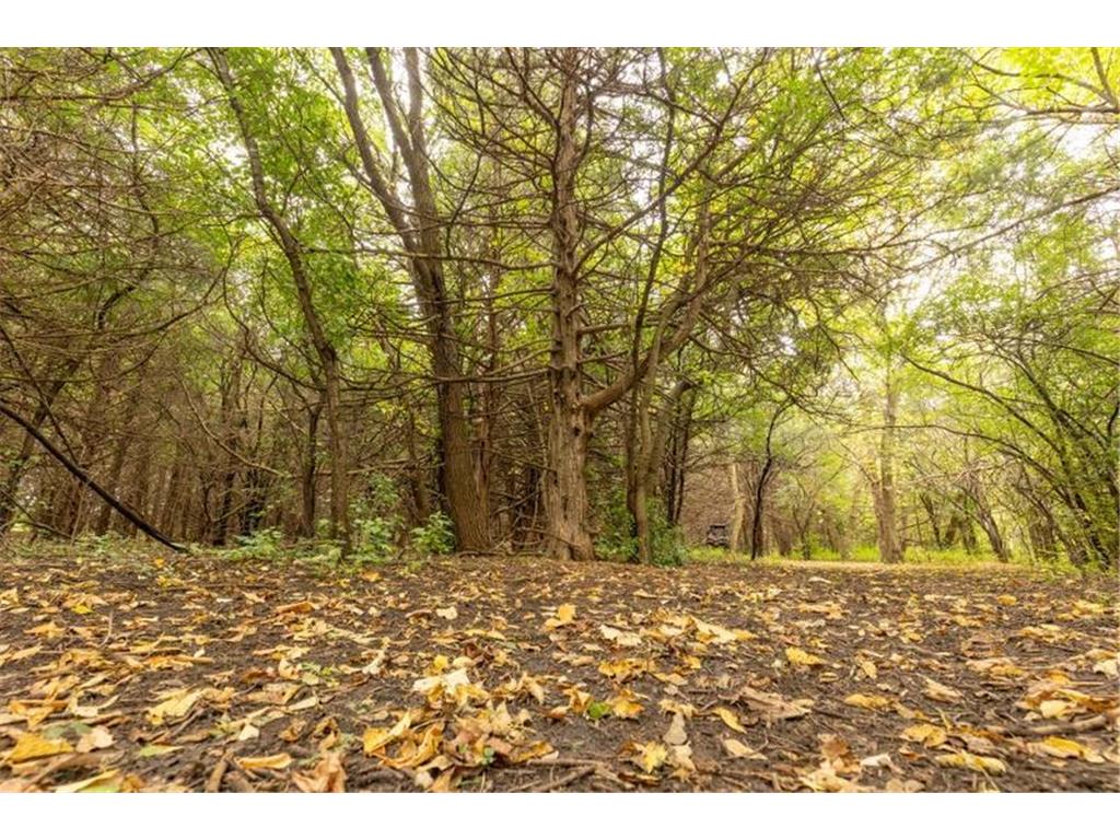 1323 230th Avenue Fairmont MN 56031 6704781 image72