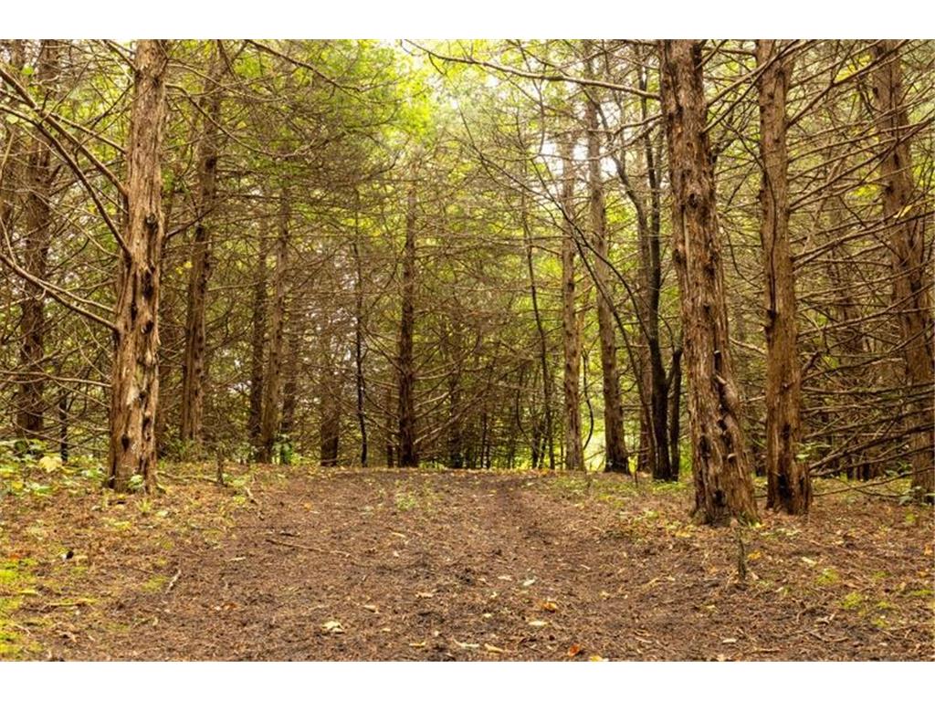 1323 230th Avenue Fairmont MN 56031 6704781 image73