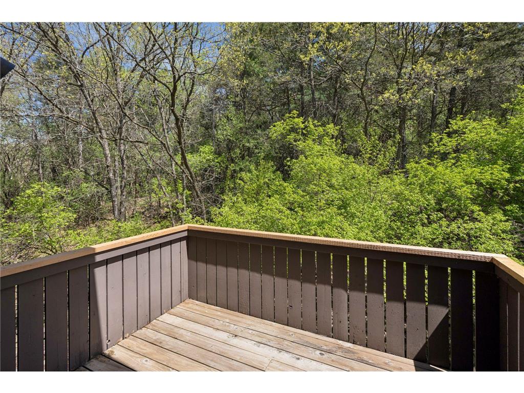 1323 Strawberry Hill Road S Afton MN 55001 7070551 image17