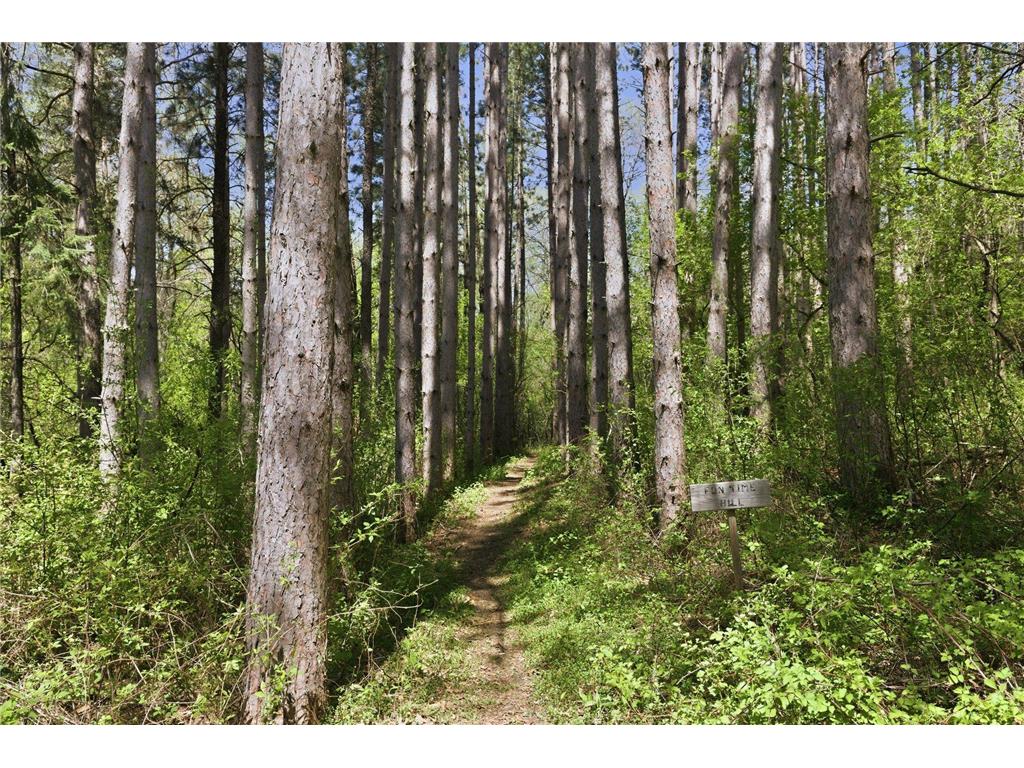 1323 Strawberry Hill Road S Afton MN 55001 7070551 image39