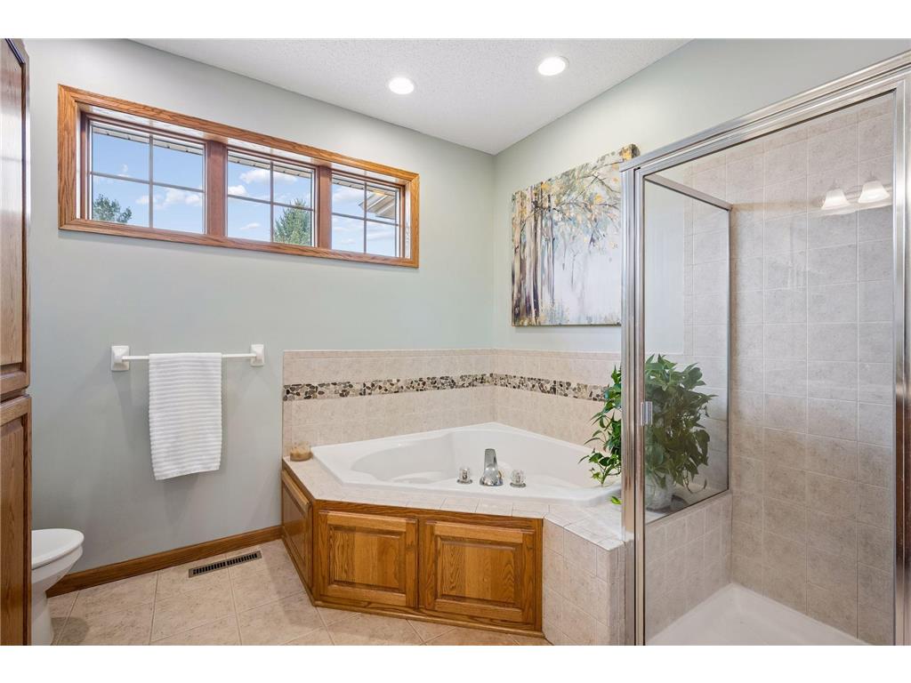 13231 196th Avenue NW Elk River MN 55330 7038732 image23