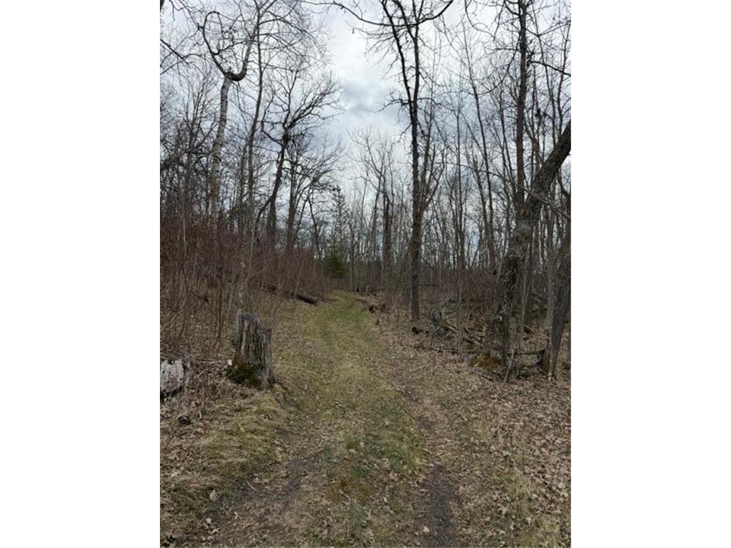 13233 Wonder Green Lane SE Bemidji MN 56601 - Ose 7069806 image66