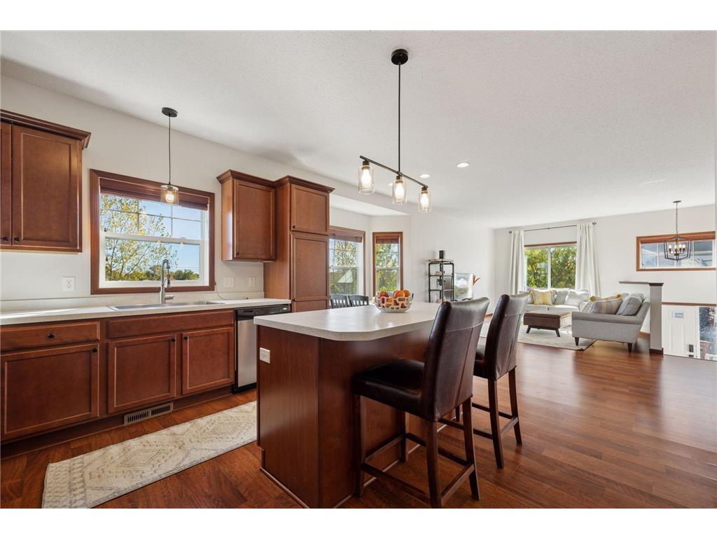 13237 Virginia Avenue S Savage MN 55378 7011625 image5