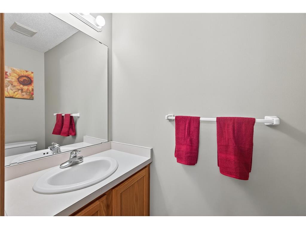 1324 Crown Oaks Drive Spring Lake Park MN 55432 7005609 image14