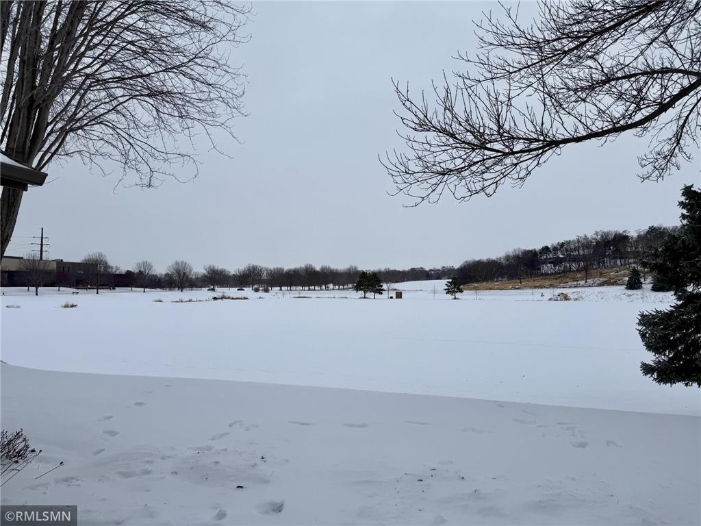 1325 Jackson Drive Hastings MN 55033 6824982 image28