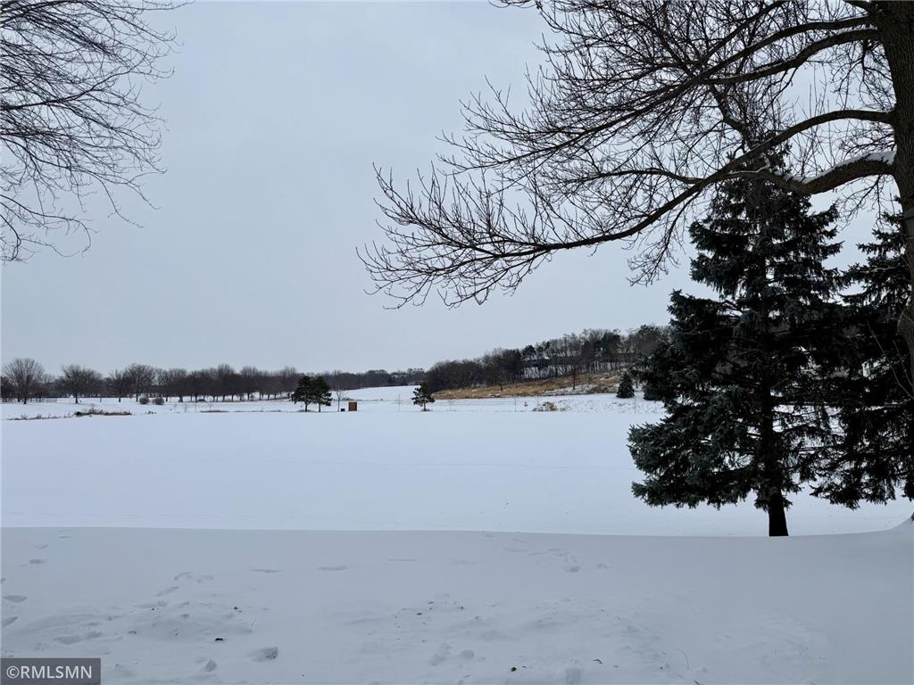 1325 Jackson Drive Hastings MN 55033 6824982 image29