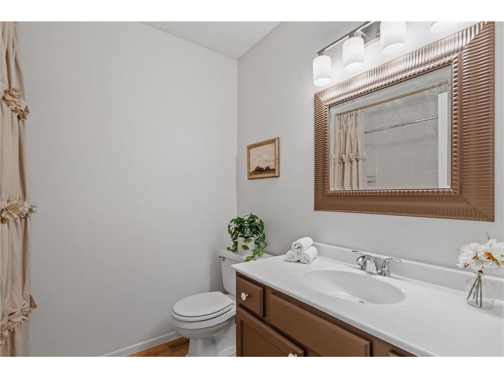 13252 90th Avenue N Maple Grove MN 55369 7061738 image22