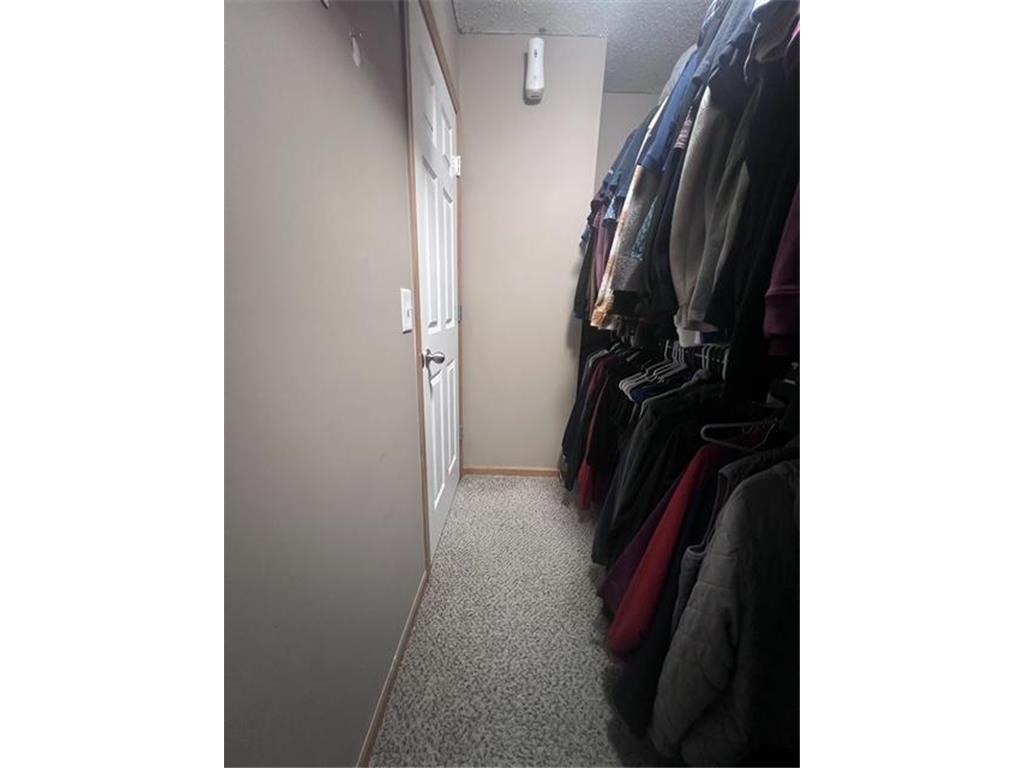 1328 Raintree Lane Waconia MN 55387 7044048 image23