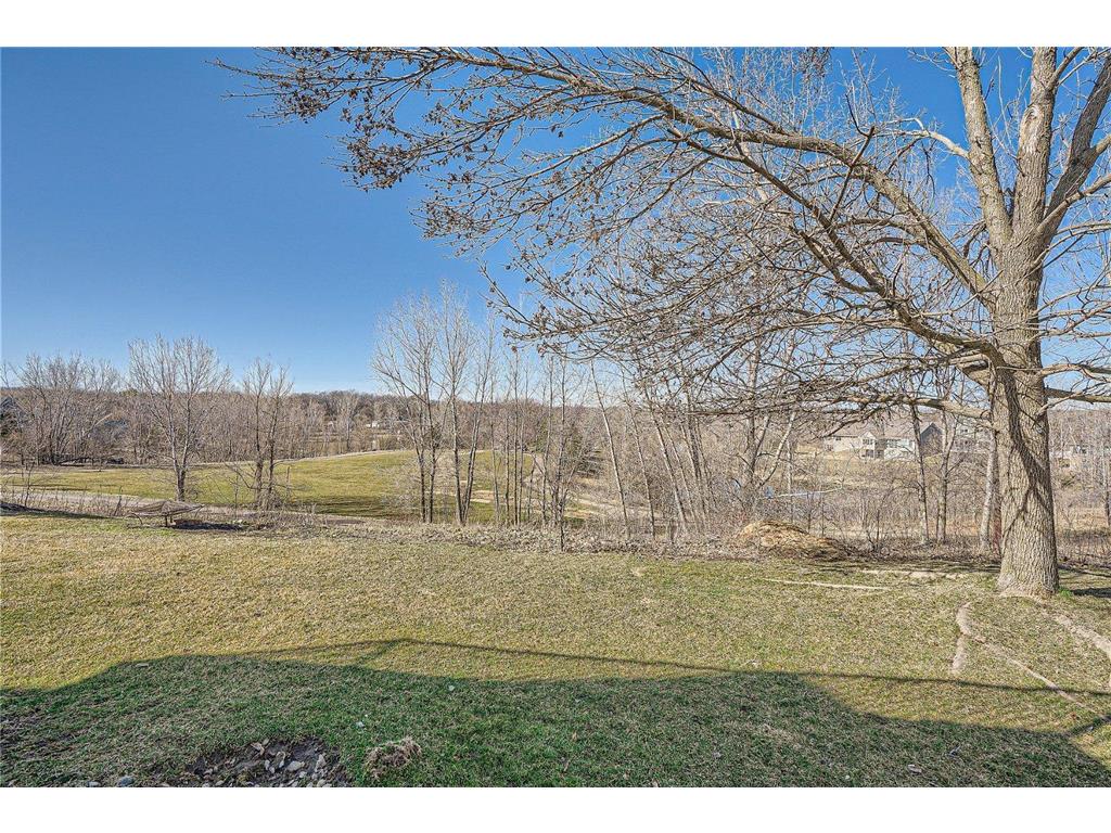 13295 Danube Lane, Rosemount, MN, 55068 MLS 6508702 Edina Realty