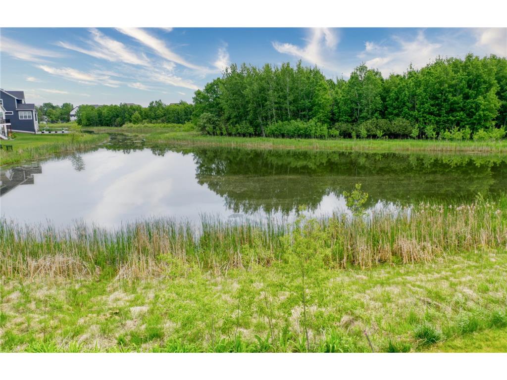 13301 Fondant Trail N Hugo MN 55038 7043431 image8