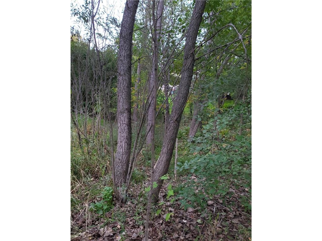 13306 Ivy Street Becker MN 55308 6794245 image5