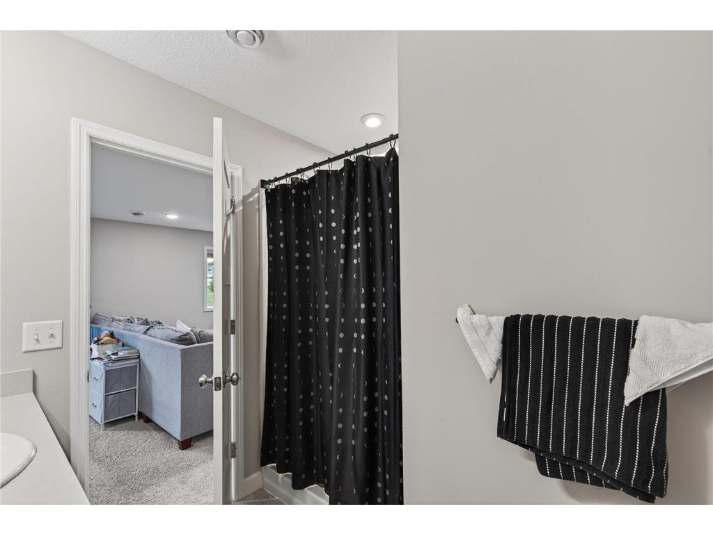 1333 Oak Ridge Street Hanover MN 55341 7085921 image39