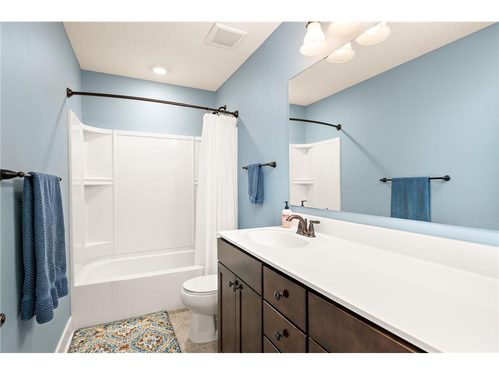 13331 White Pine Court N Dayton MN 55327 7011140 image20
