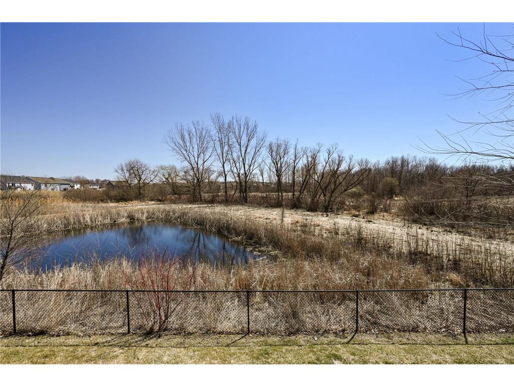 13331 White Pine Court N Dayton MN 55327 7011140 image32