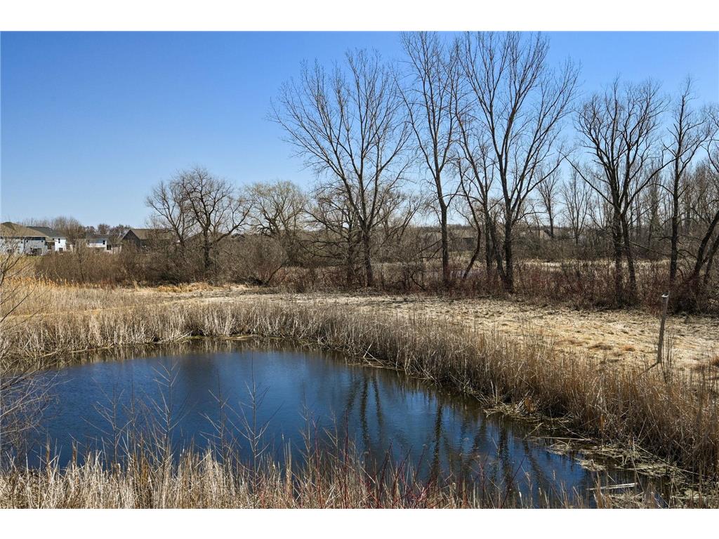 13331 White Pine Court N Dayton MN 55327 7011140 image33