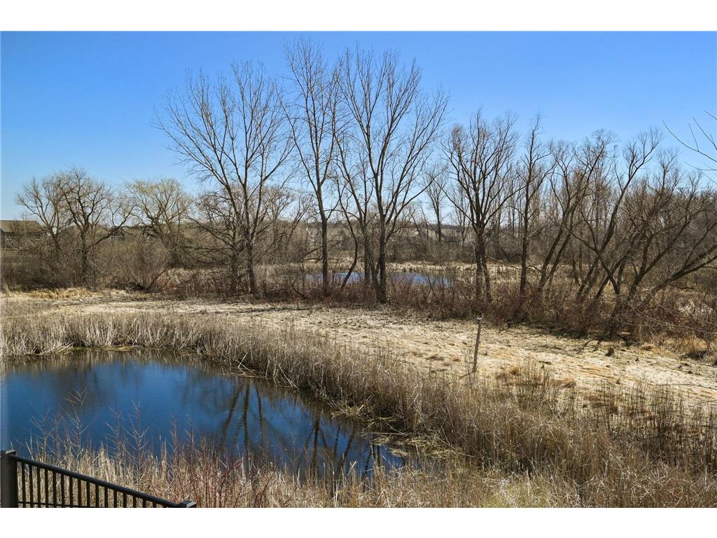 13331 White Pine Court N Dayton MN 55327 7011140 image41