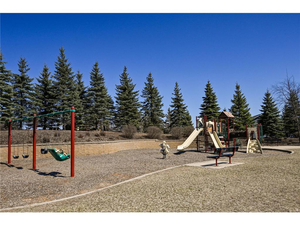 13331 White Pine Court N Dayton MN 55327 7011140 image42