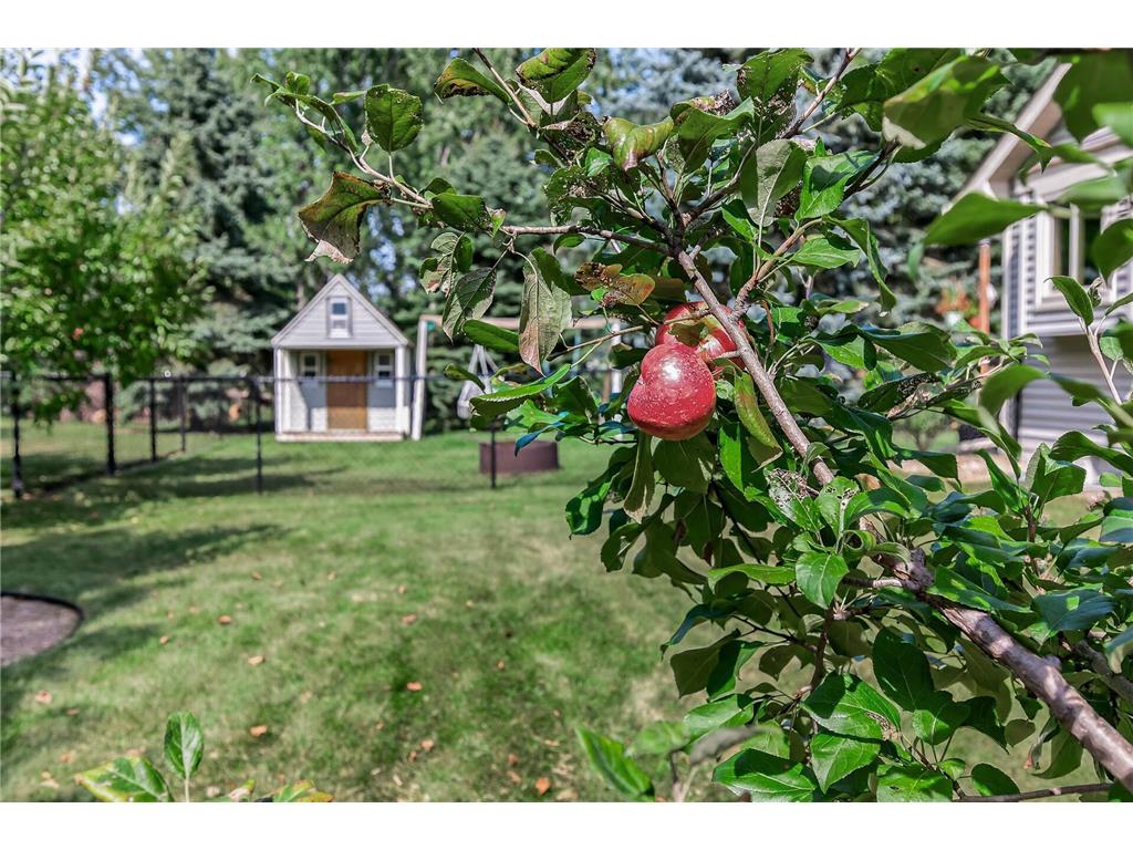 13335 180 1/2 Circle NW Elk River MN 55330 7018704 image45