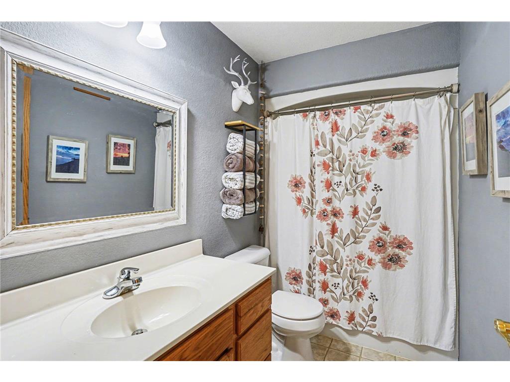 13347 County 1 Boulevard Vasa Twp MN 55009 7059054 image12