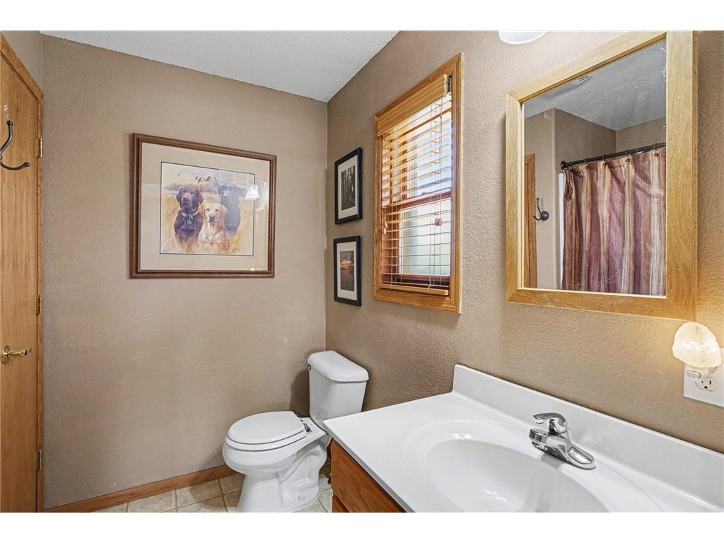 13347 County 1 Boulevard Vasa Twp MN 55009 7059054 image14